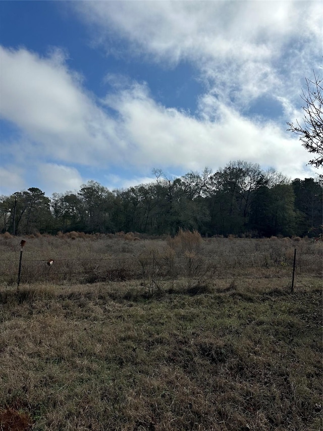 2519 County Road 131, Centerville, TX 75833 - photo 15
