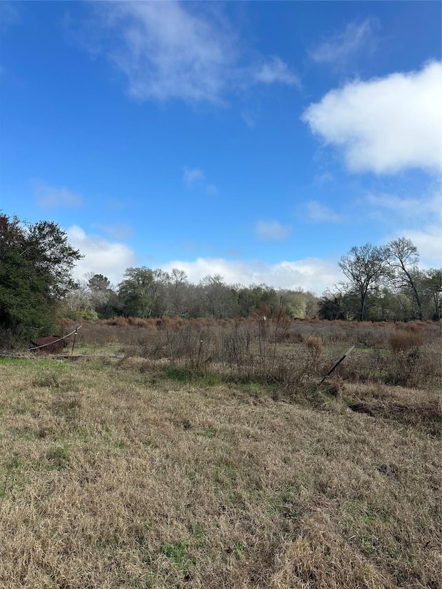 2519 County Road 131, Centerville, TX 75833 - photo 16