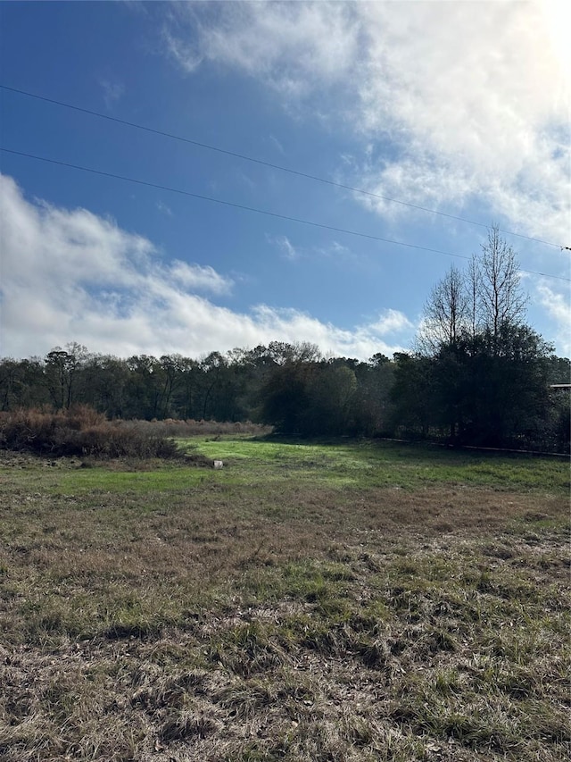 2519 County Road 131, Centerville, TX 75833 - photo 17