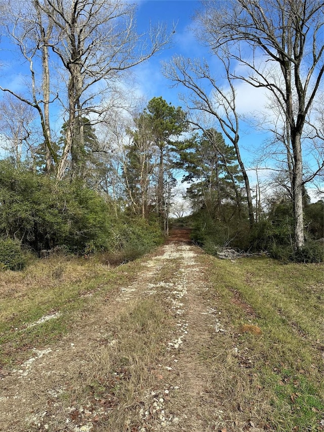 2519 County Road 131, Centerville, TX 75833 - photo 8