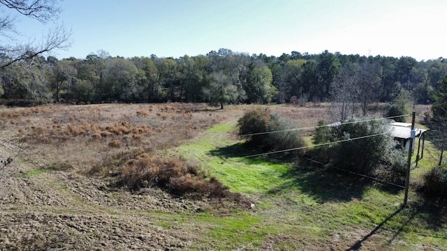 2519 County Road 131, Centerville, TX 75833 - photo 3