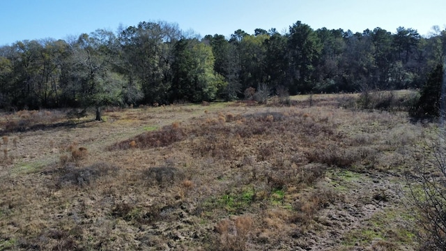 2519 County Road 131, Centerville, TX 75833 - photo 18