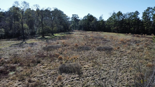 2519 County Road 131, Centerville, TX 75833 - photo 19