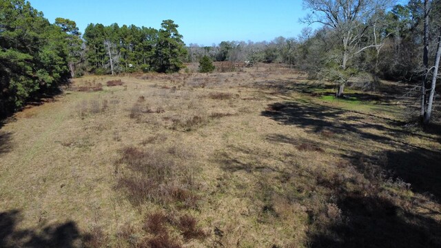 2519 County Road 131, Centerville, TX 75833 - photo 22