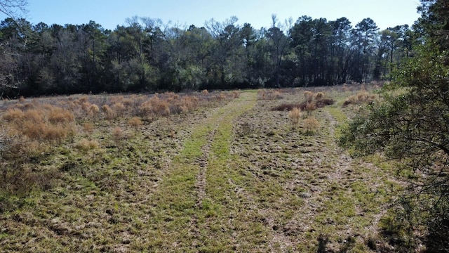 2519 County Road 131, Centerville, TX 75833 - photo 21