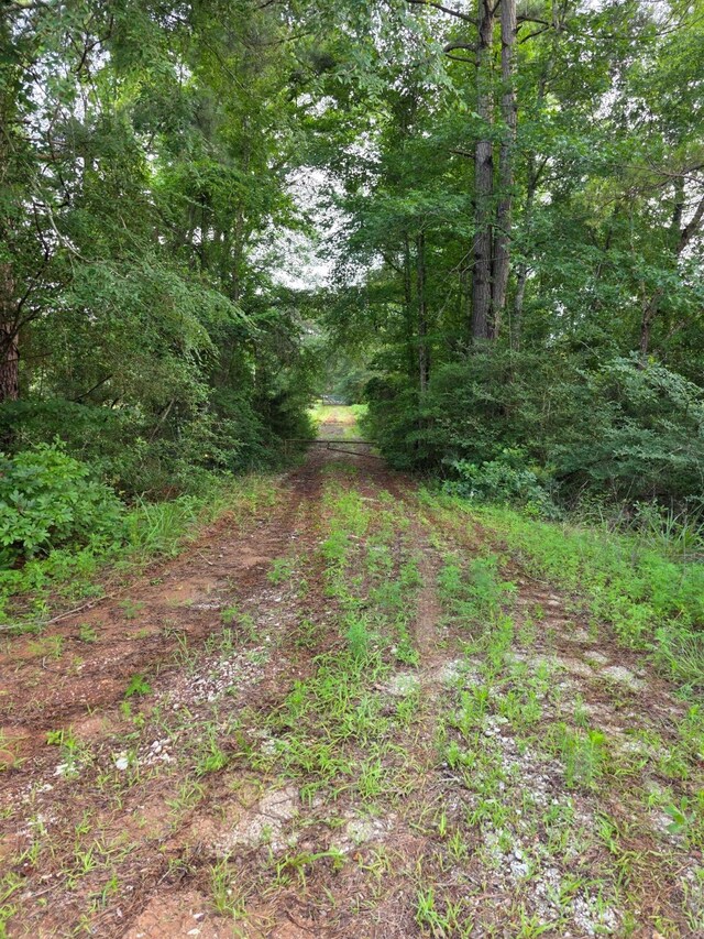 2519 County Road 131, Centerville, TX 75833 - photo 24