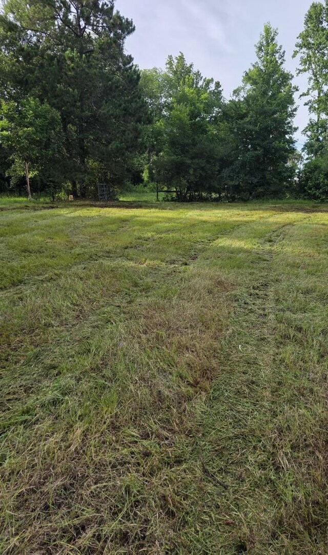 2519 County Road 131, Centerville, TX 75833 - photo 27