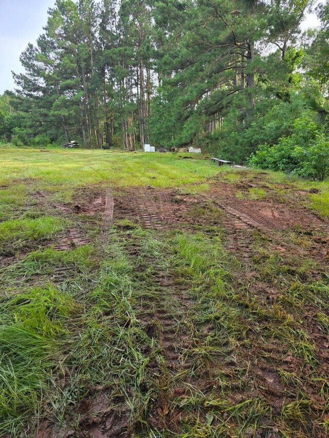 2519 County Road 131, Centerville, TX 75833 - photo 28
