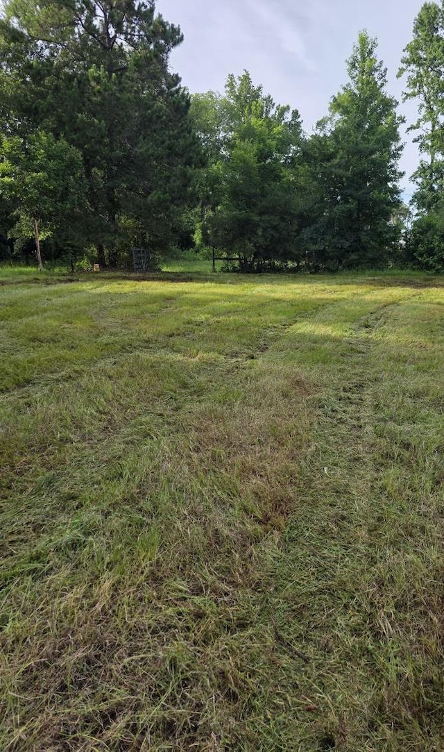 2519 County Road 131, Centerville, TX 75833 - photo 29