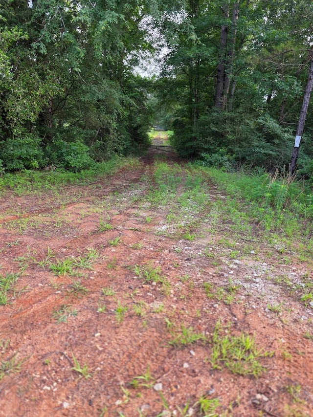 2519 County Road 131, Centerville, TX 75833 - photo 30