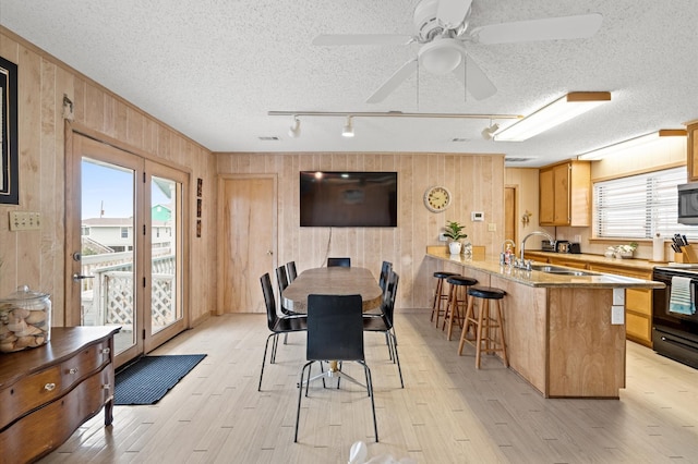 dining space featuring a textured ceiling, rail lighting, wood walls, and sink