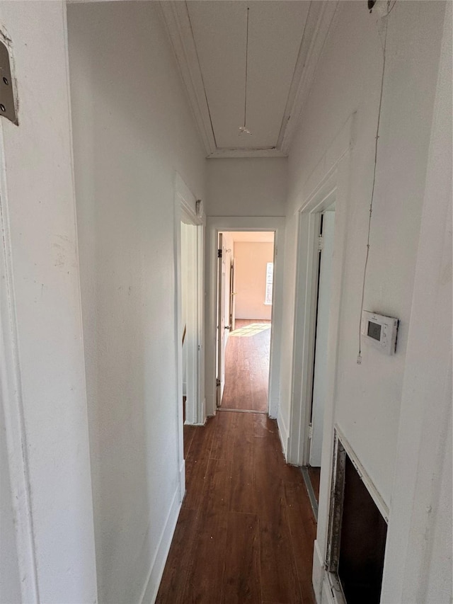 hallway featuring dark hardwood / wood-style flooring and crown molding