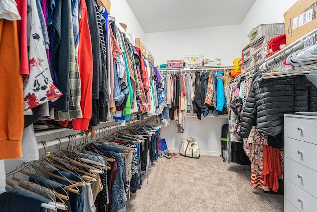 spacious closet featuring carpet floors