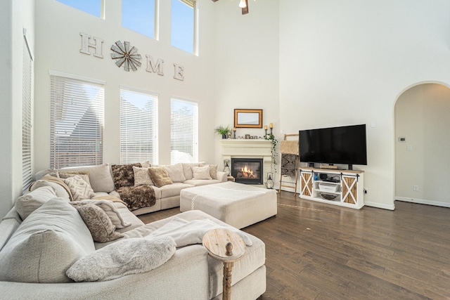 living room with dark hardwood / wood-style floors and a high ceiling