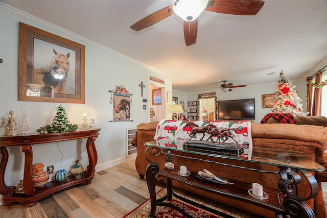 living room featuring light hardwood / wood-style floors and crown molding