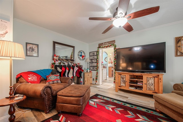 living room featuring crown molding, ceiling fan, and light wood-type flooring