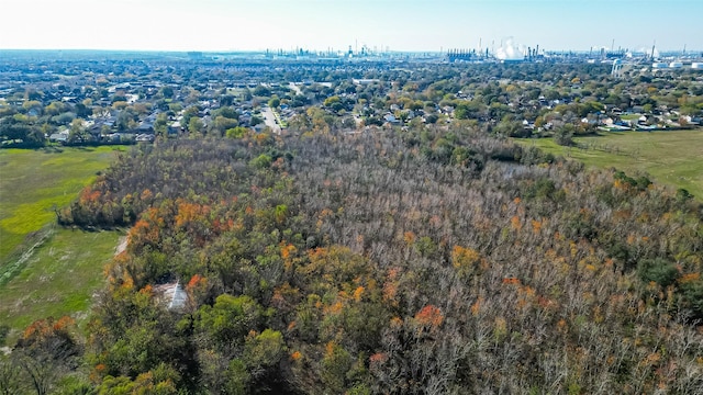 bird's eye view