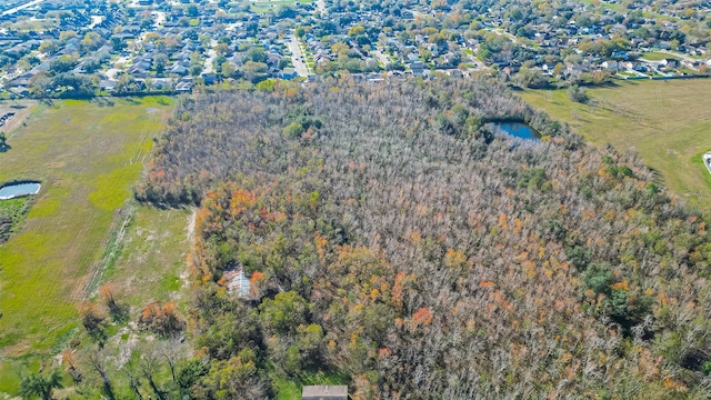 bird's eye view