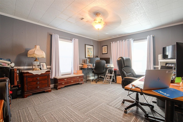 carpeted home office featuring ceiling fan and ornamental molding