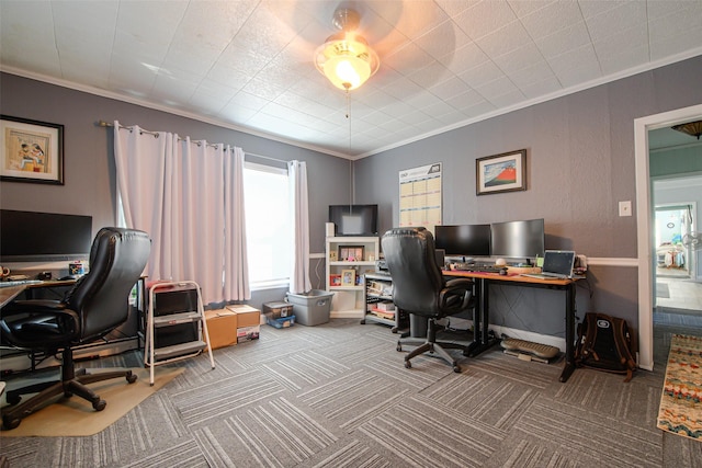 office with carpet floors and crown molding