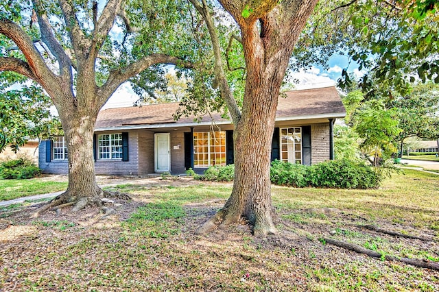 ranch-style home featuring a front yard