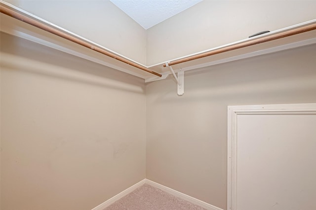 spacious closet with carpet flooring