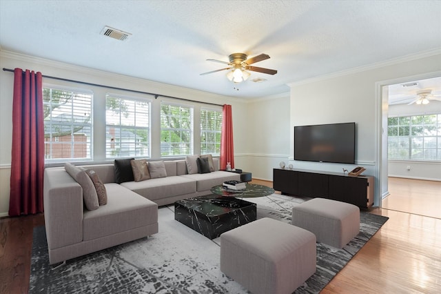 living room featuring crown molding, ceiling fan, a textured ceiling, and hardwood / wood-style flooring