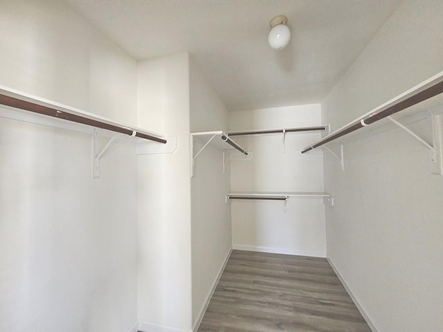 spacious closet featuring hardwood / wood-style floors