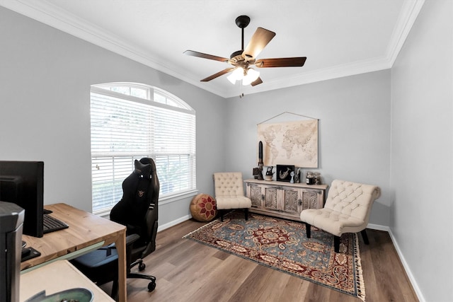 home office featuring ceiling fan, ornamental molding, and hardwood / wood-style floors