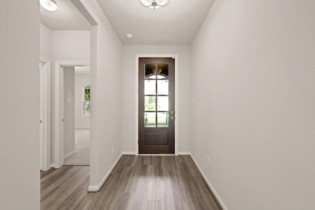 entryway featuring hardwood / wood-style flooring