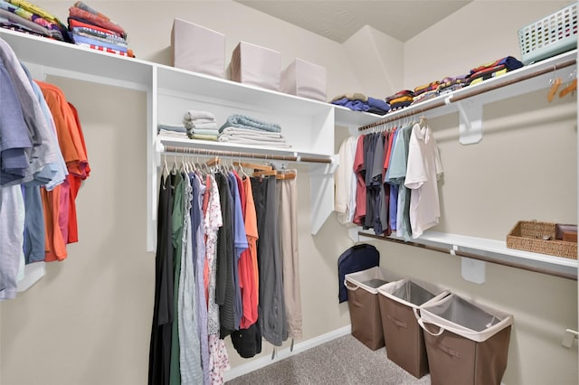 walk in closet featuring carpet flooring