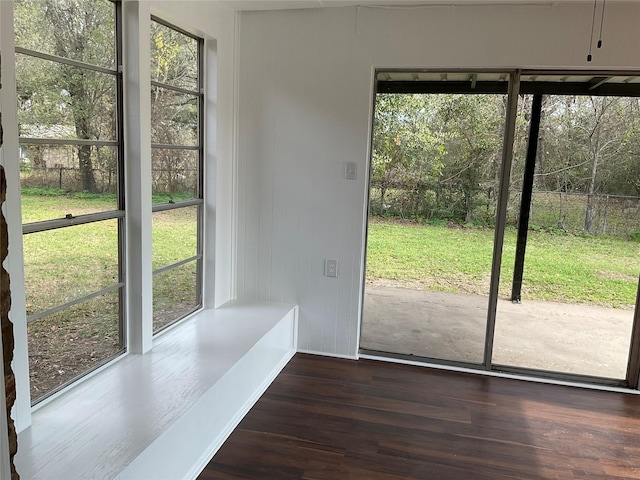 entryway featuring a healthy amount of sunlight and dark hardwood / wood-style floors