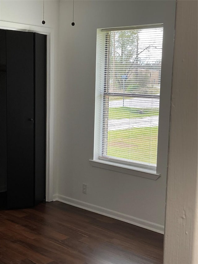 interior space featuring dark hardwood / wood-style floors