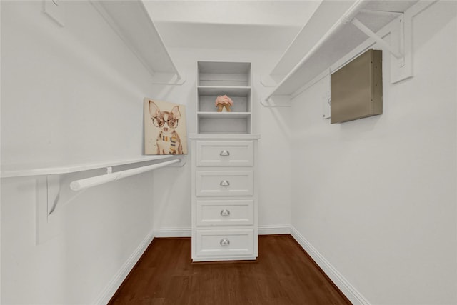 walk in closet featuring dark wood-type flooring