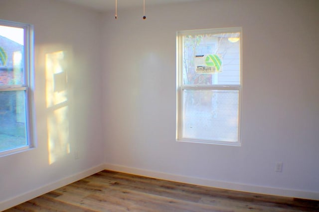 unfurnished room featuring a healthy amount of sunlight and wood-type flooring