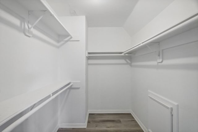 walk in closet with hardwood / wood-style flooring