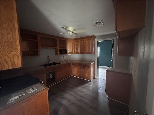 kitchen featuring ceiling fan, dark hardwood / wood-style flooring, and sink