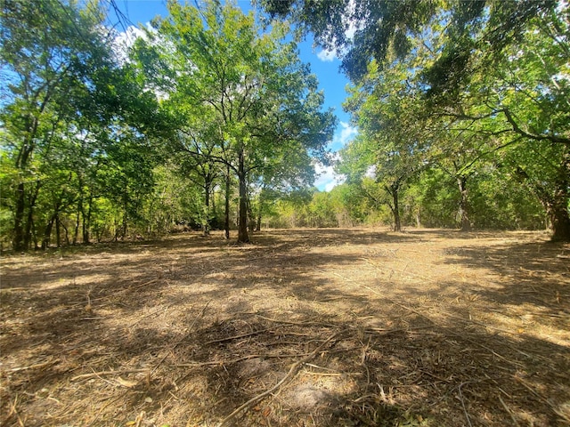 0 Fm 1960, Dayton, TX 77535
