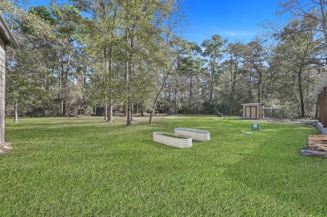 view of yard with a storage unit