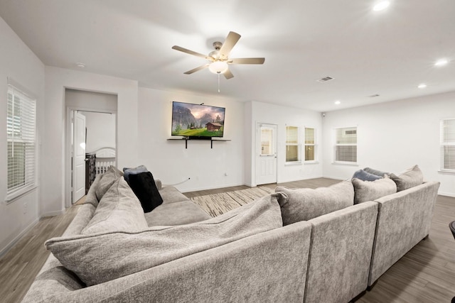 living room with ceiling fan and light hardwood / wood-style floors