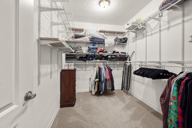 spacious closet featuring light carpet