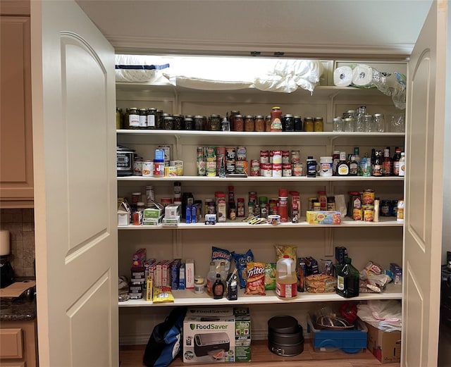 view of pantry