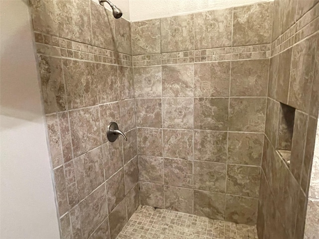 interior details with tiled shower