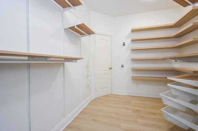 walk in closet featuring light hardwood / wood-style floors