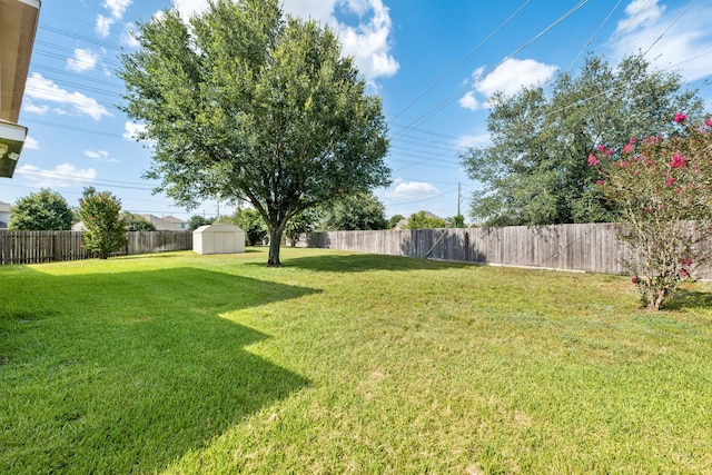 view of yard with a storage shed