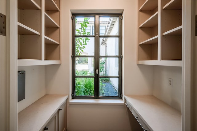 mudroom featuring a wealth of natural light