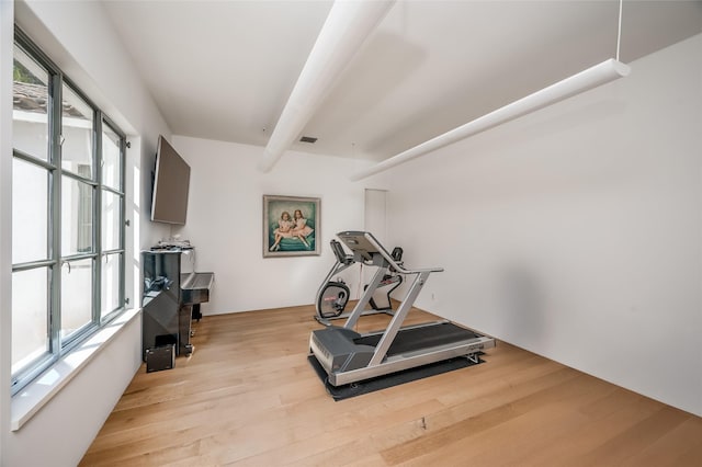 exercise area featuring plenty of natural light and light hardwood / wood-style floors