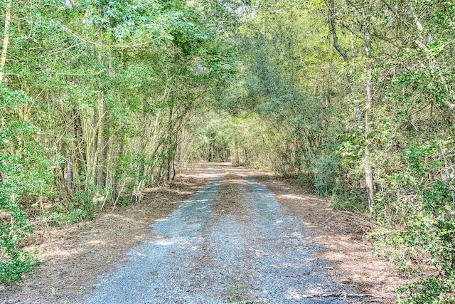 5193 Timberwolf Dr, Lumberton, TX 77657 - photo 43