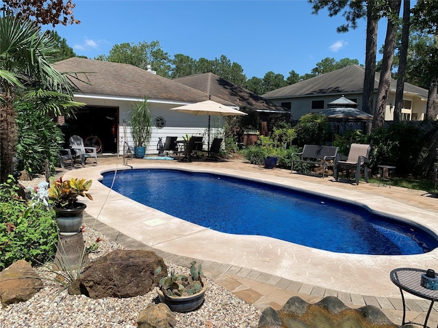 view of pool with a patio