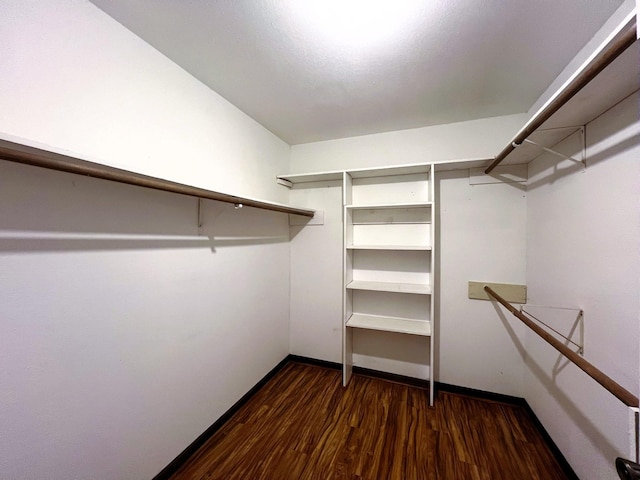 spacious closet featuring dark hardwood / wood-style flooring